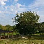 Szellosreti Vendeglak Balvanyos