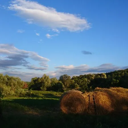 Szellosreti Vendeglak Balvanyos