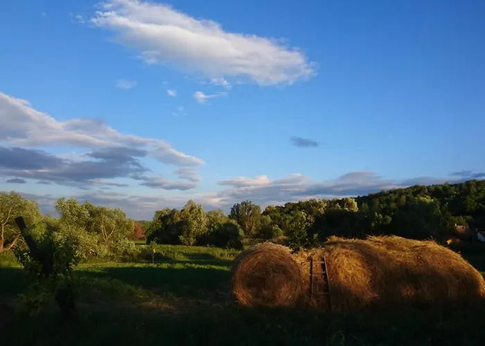 Szellosreti Vendeglak Balvanyos